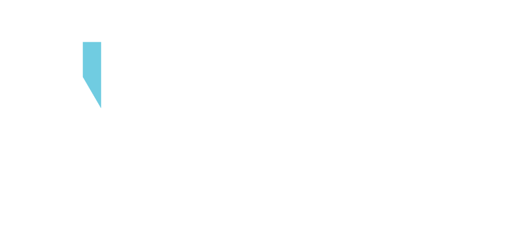 Naude Insurance